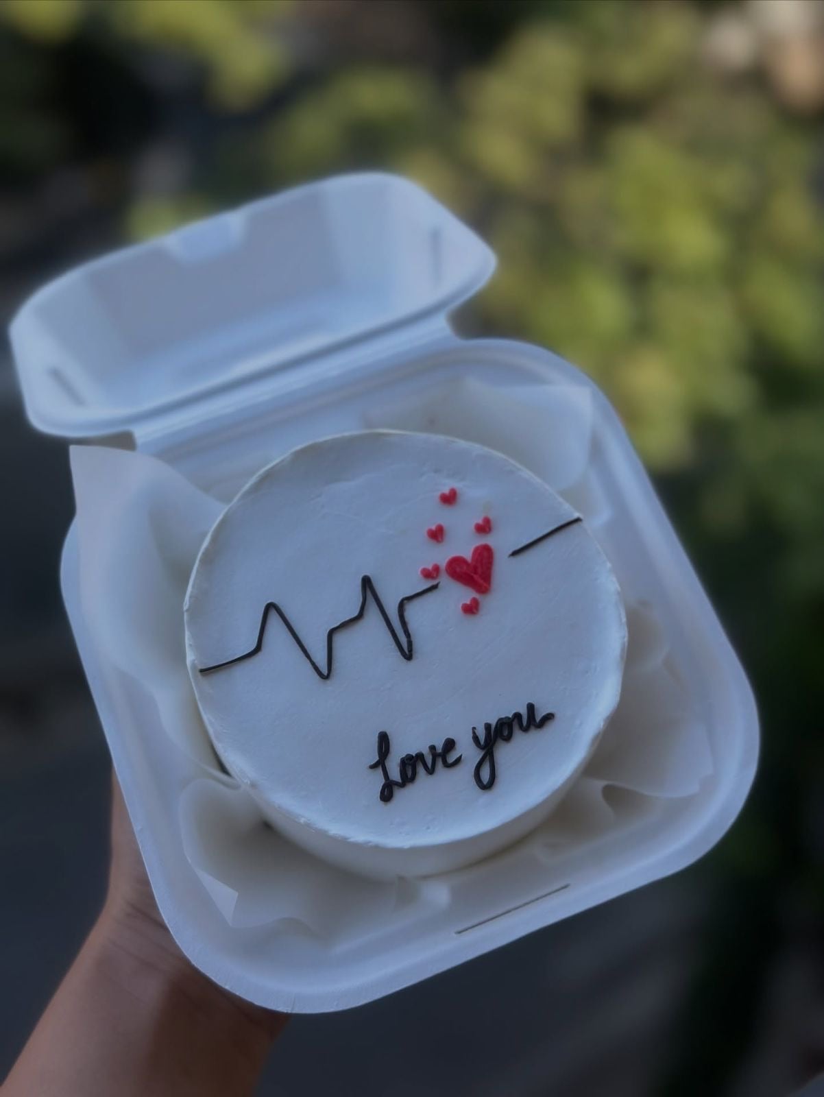 Life Line Drawn Love You Bento Cake – CakeZake
