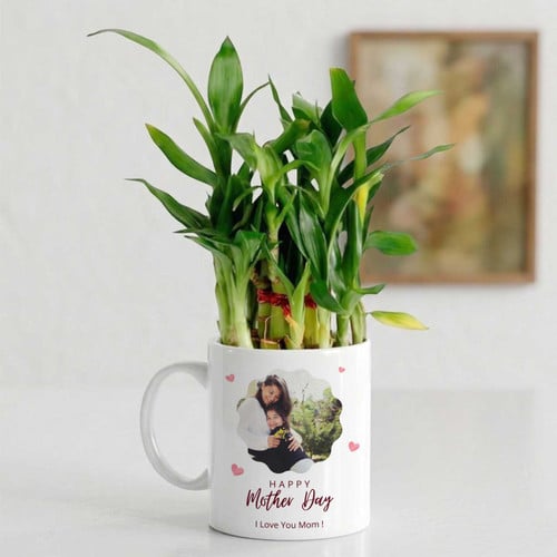 Happy Mother's Day Bamboo Plant in Ceramic Mug – CakeZake Nepal
