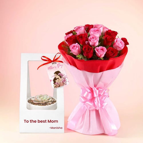 Mother’s Day Pot Plant Holder & 24 Roses Combo – CakeZake Nepal